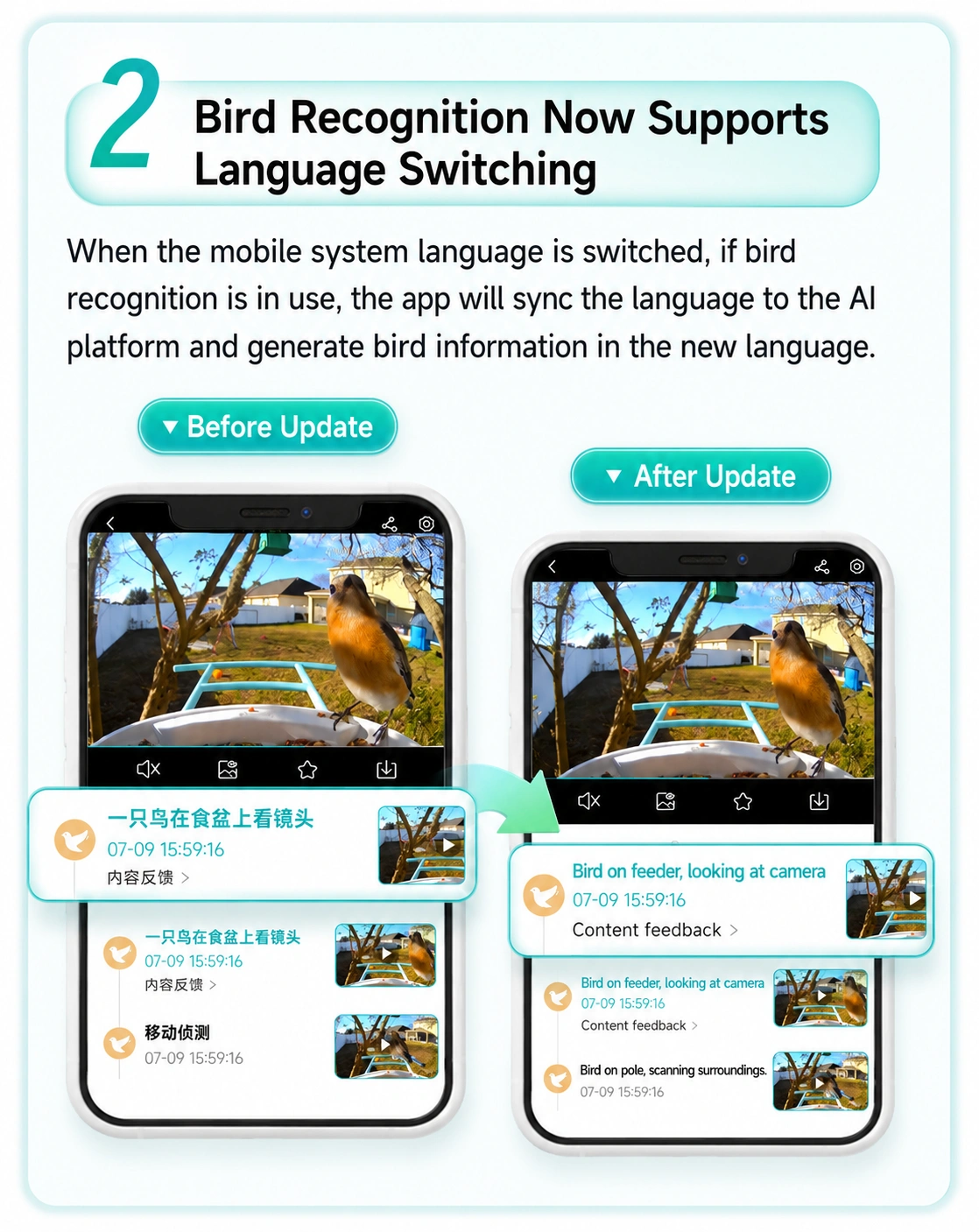 iCSee AI Bird Recognition